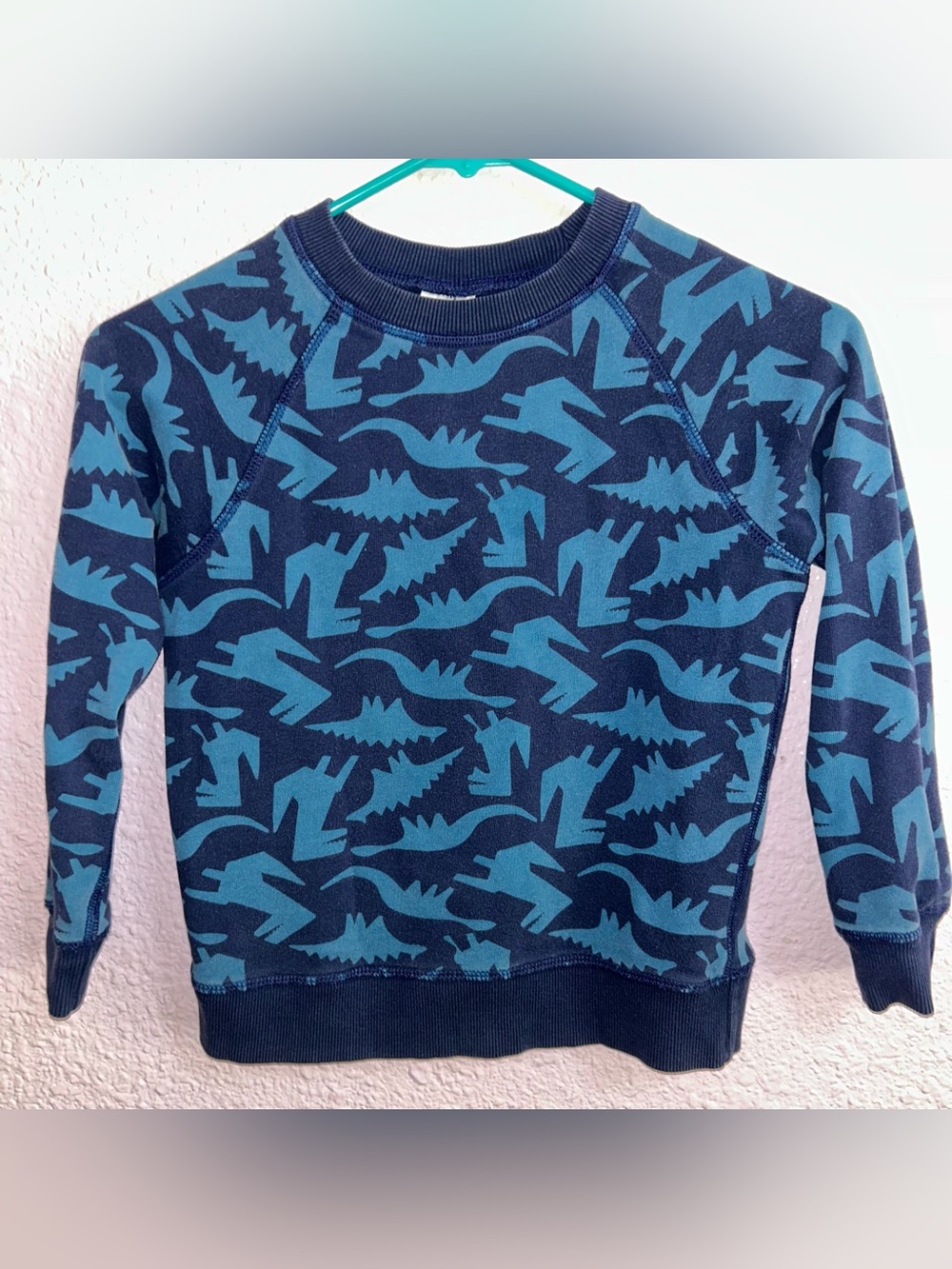 Hanna Andersson Navy & Teal Dinosaur Sweatshirt